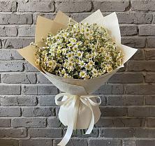 Букет цветов из:  Ромашки #REPLACE_PRED# Терновской